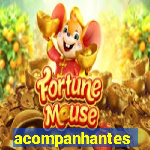 acompanhantes masculino salvador